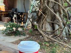 -Tims天好咖啡·贝果(前海世茂店)