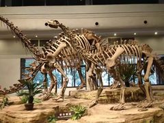 -自贡恐龙博物馆