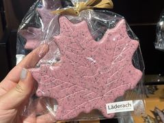 -Laderach 莱德拉(上海环贸iapm店)
