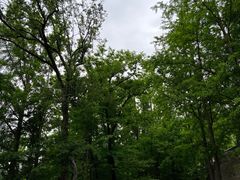 -阳台山自然风景区