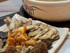 -蘑统田下·野生菌火锅