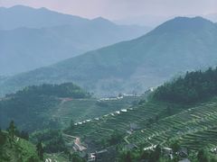 -紫鹊界梯田景区