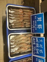 -双井轩·宴会厅