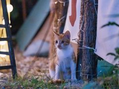 -大象营野Life营地·钓虾(坦尾店)