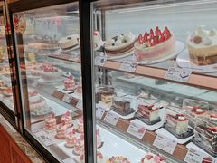-多乐之日(西苑龙湖店)