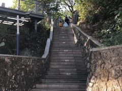 -佛山华盖山公园