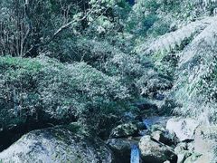 -赤水丹霞旅游区·佛光岩