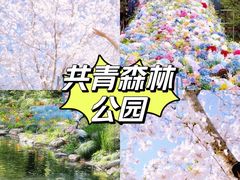 -上海静安大悦城