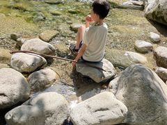 -青峰峡国家森林公园