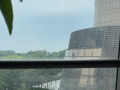 -章记星洲 · 新加坡餐厅(望京店)