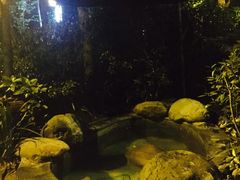 -青城道汤池
