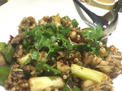 -石头咕(葵蓬店)