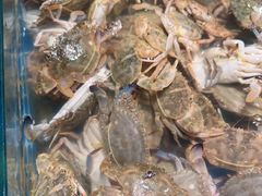 -宴立方海鲜自助(义乌万达广场店)