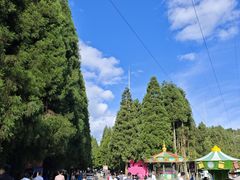 -武陵山森林公园