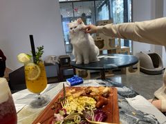 -瞄一喵猫咖(格力海岸店)