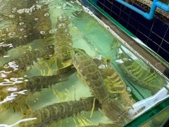 -班赞海鲜市场