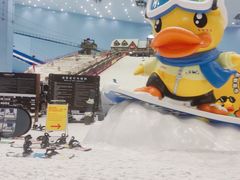 -广州热雪奇迹