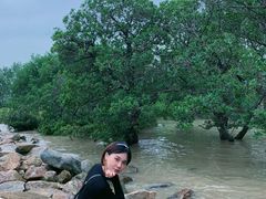 -宝安西湾红树林湿地公园