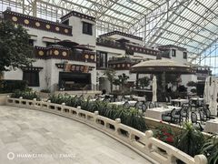 -拉萨圣地天堂洲际大饭店-自助餐厅