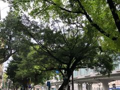-广东胜利宾馆西关粤中餐厅