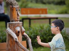 -神光山国家森林公园