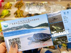 -广东惠东海龟国家级自然保护区