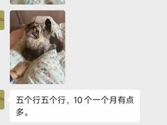 -十年猫舍·猫咪专门店(普陀店)