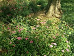 -白塘生态植物园