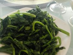 清炒豌豆尖-力力豆花庄(广渠门店)