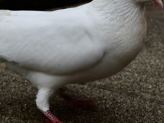 -音乐台
