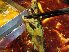 -吃城都·鱼蛙火锅(西玉龙街店)