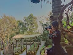 -南山植物园
