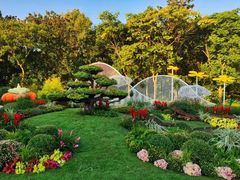 -上海共青森林公园