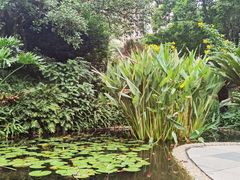 -晓港公园