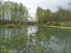 -桤木河湿地公园