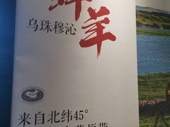 -九府羊·鲜羊火锅·烤串(新华路店)