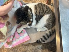 -铜瓢江湖兔火锅(水碾河社区店)