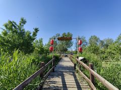 -西青郊野公园