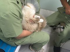 -达爱动物医院·犬猫分区·CT·复杂眼科(远洋山水分院)