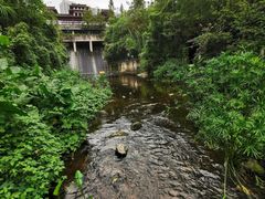 -重庆彩云湖湿地公园