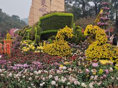 -南山植物园