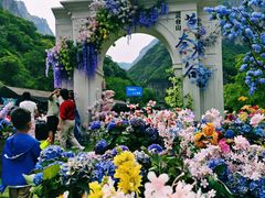 -云台山风景名胜区