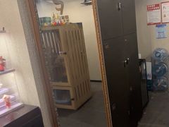 -Mr.Fox狐狸先生超级密室(南山店)