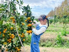 -前小桔亲子创意农场·草莓采摘·露营烧烤