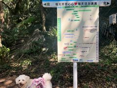 -七仙岭温泉国家森林公园