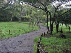 -汉拿树木园