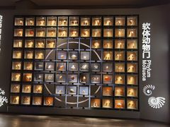 -中国湿地博物馆