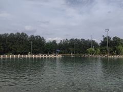 -柳浪游泳场