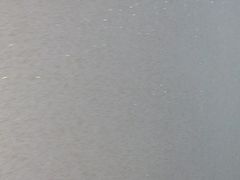 -菲迪科尔墙衣(集美家居定慧桥店)