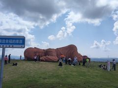 -龙里油画大草原旅游区